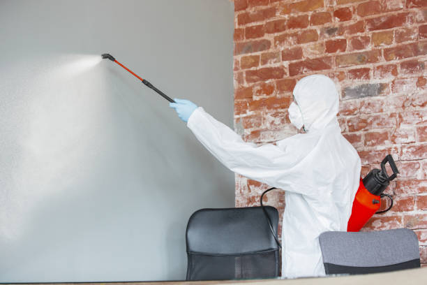 Best Industrial Mold Remediation  in River Park, FL