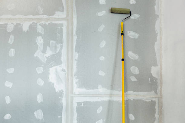 Best Real Estate Mold Inspection  in River Park, FL