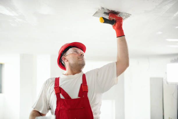 Best Post-Construction Mold Inspection  in River Park, FL