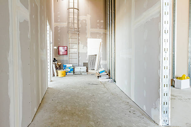 Best Environmental Consulting for Mold Prevention  in River Park, FL