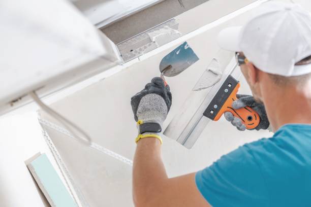 Best Mold Removal for HVAC Installations  in River Park, FL